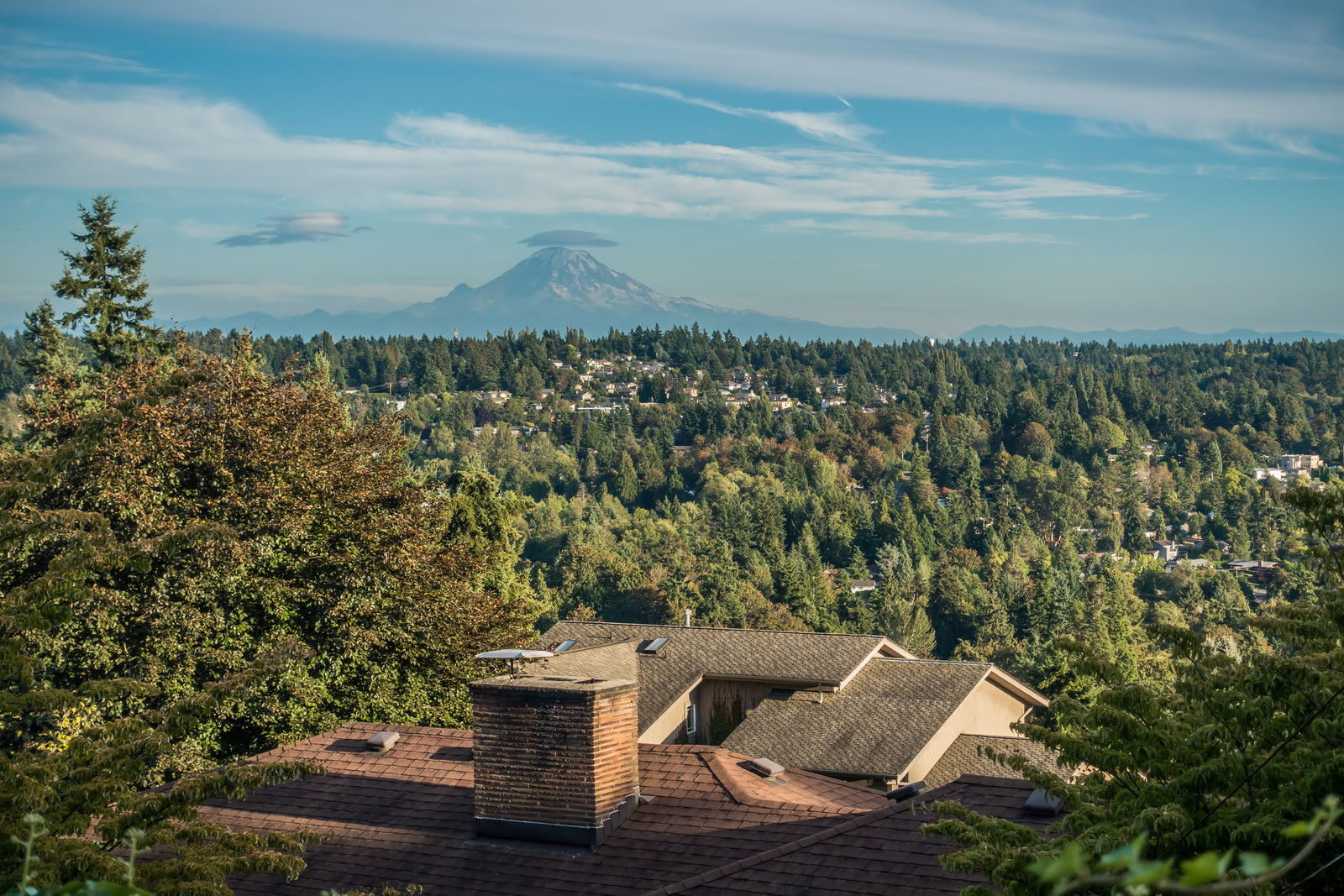 Making moves stress-free, simple, and fast for families and businesses in Kent, WA